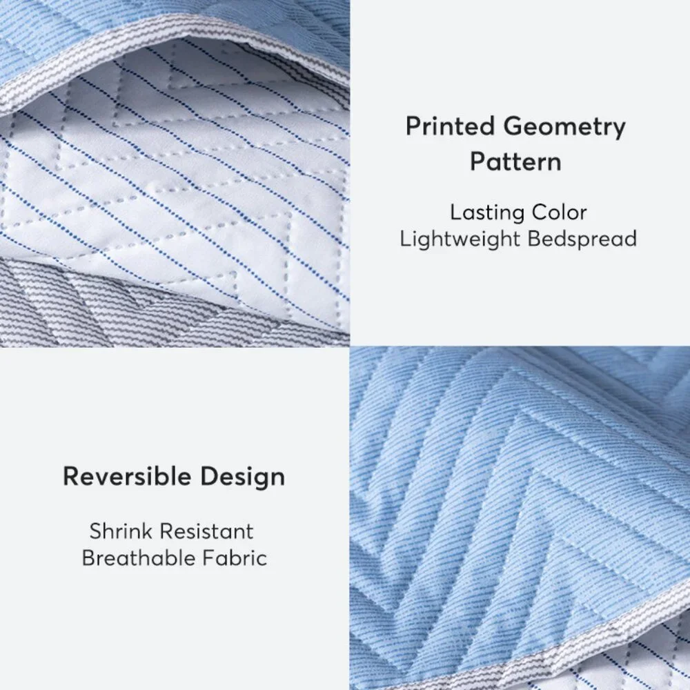 Queen - Soft & Cozy Blue and White Quilt Set